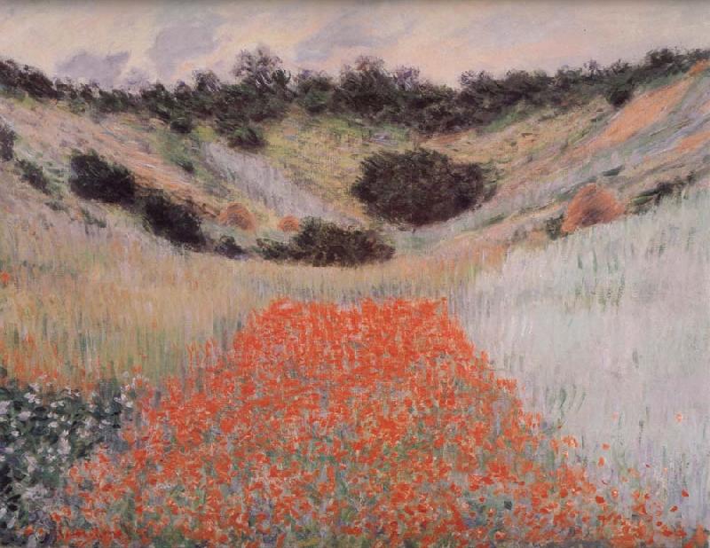 Claude Monet Poppy Field in a Hollow Near Giverny Spain oil painting art